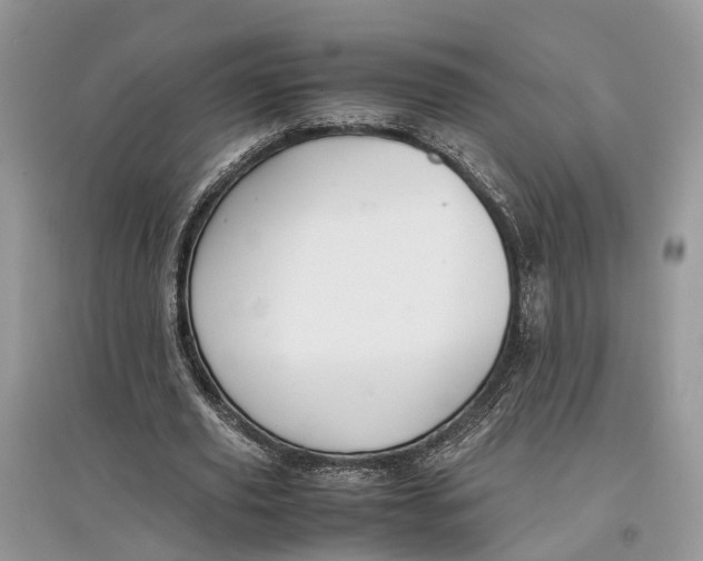 X0000097300629200803071753