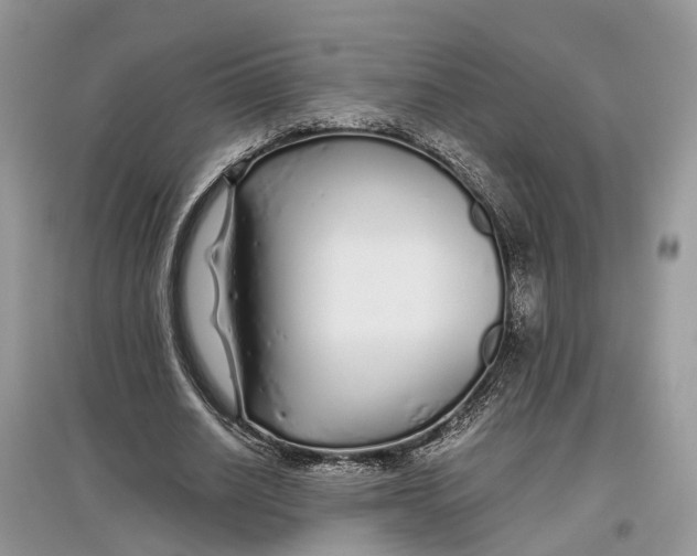 X0000097300630200803071753