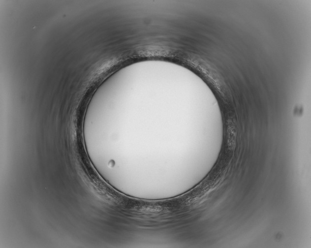 X0000097300631200803071753