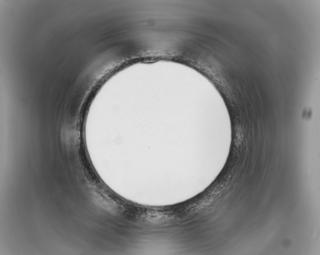 X0000097300632200803071753