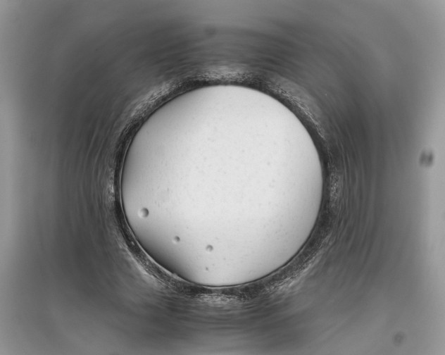 X0000097300633200803071753