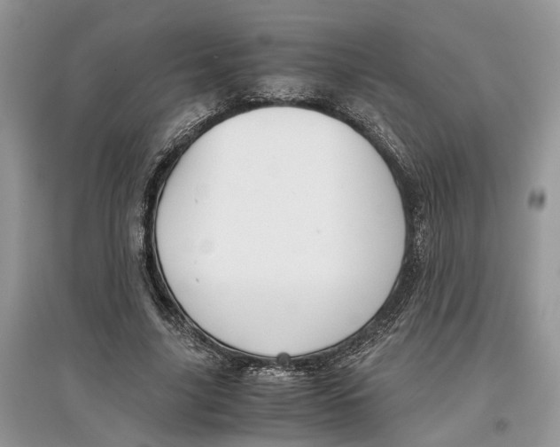 X0000097300635200803071753