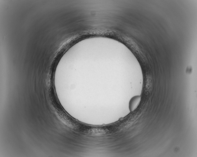 X0000097300636200803071753