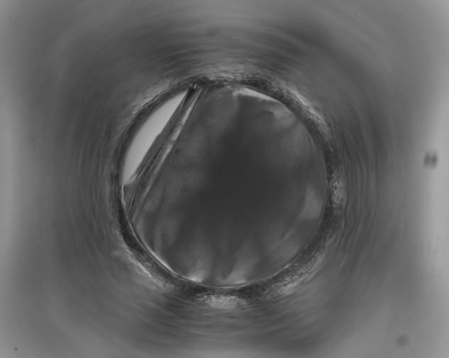 X0000097300637200803071753