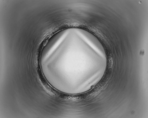 X0000097300638200803071753