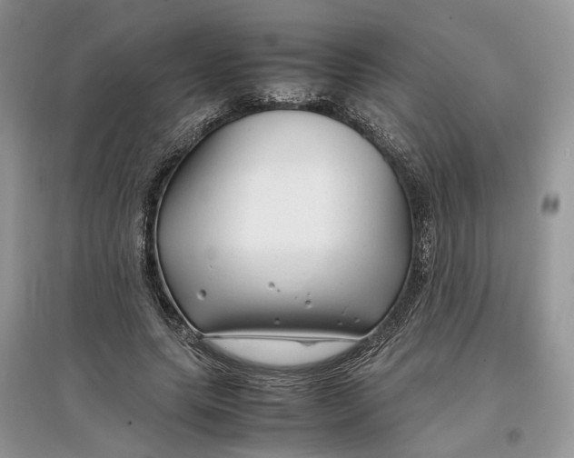 X0000097300639200803071753