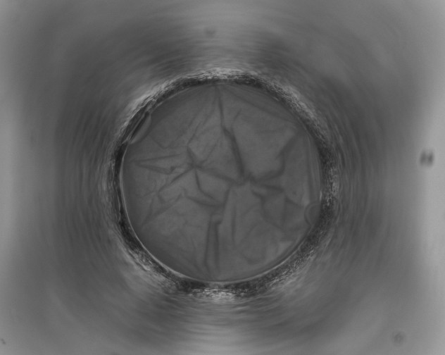 X0000097300640200803071753