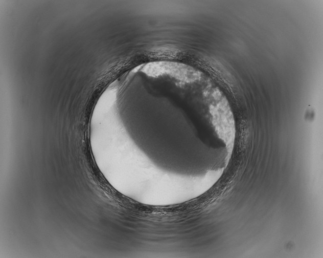 X0000097300641200803071753