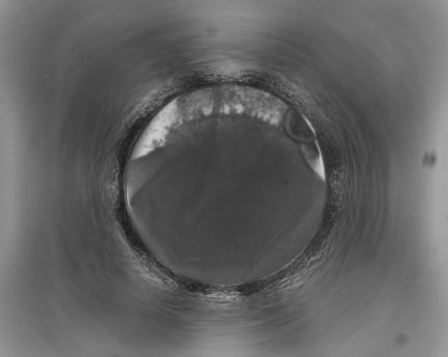 X0000097300642200803071753