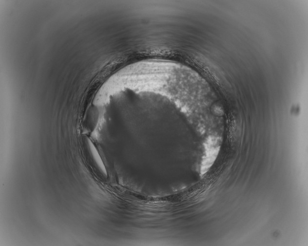 X0000097300643200803071753