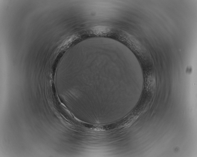 X0000097300644200803071753