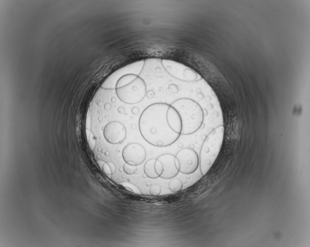 X0000097300646200803071753