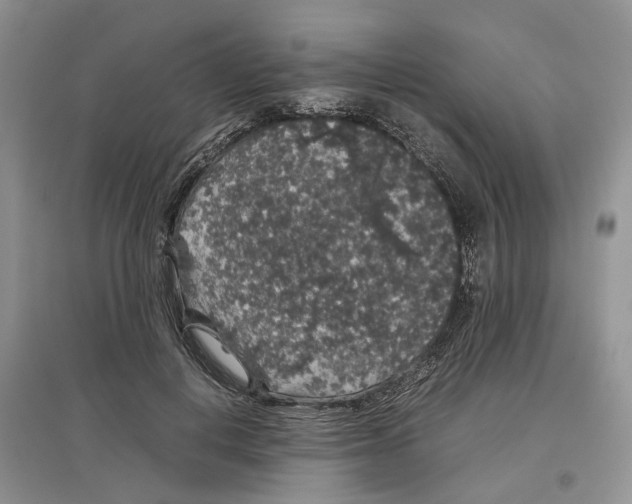 X0000097300648200803071753