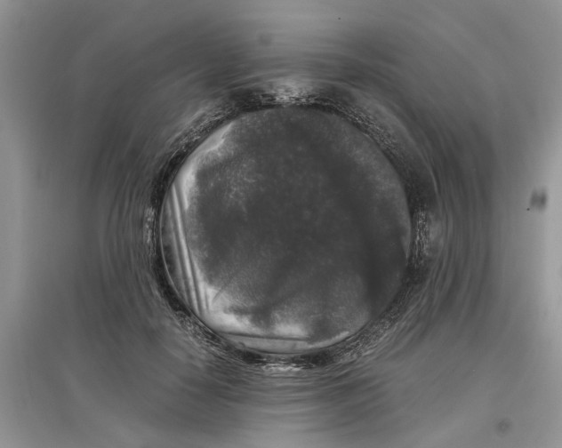 X0000097300650200803071753