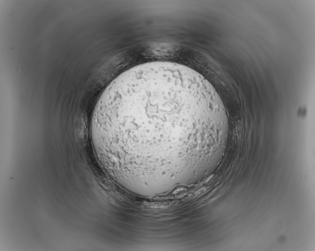 X0000097300651200803071753