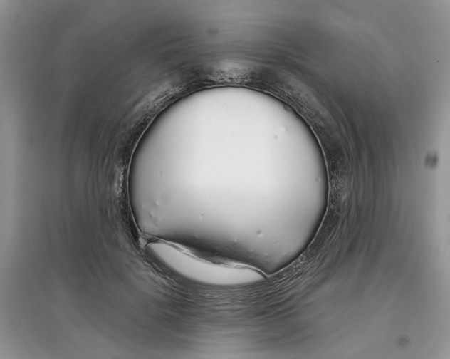 X0000097300652200803071753