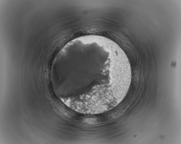 X0000097300653200803071753