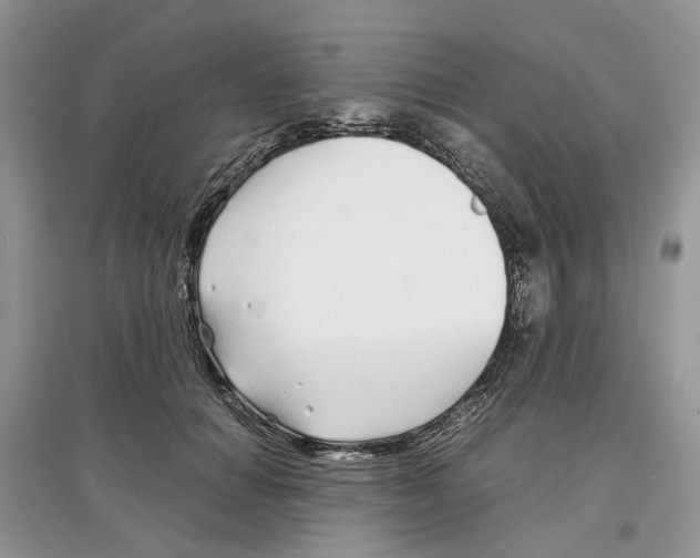 X0000097300654200803071753