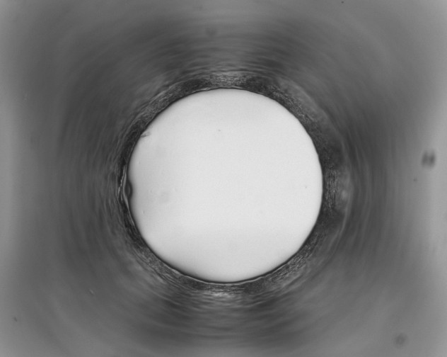 X0000097300655200803071753