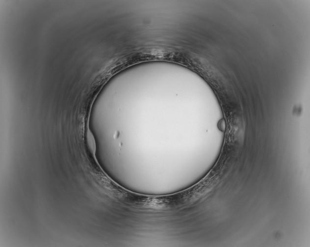 X0000097300656200803071753