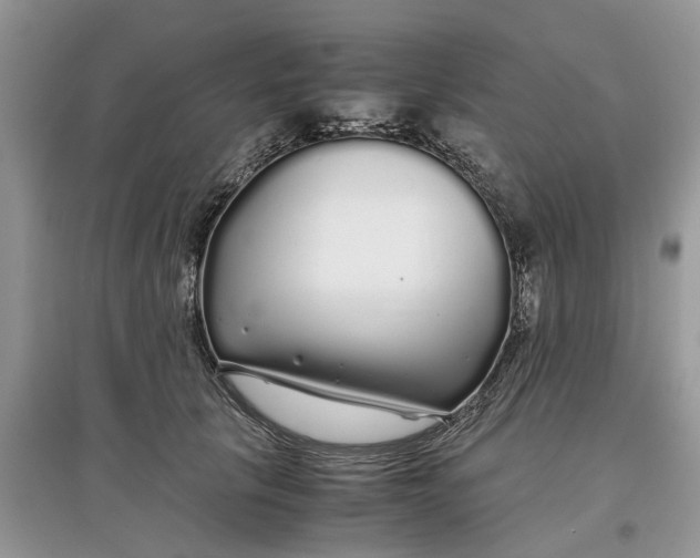 X0000097300657200803071753