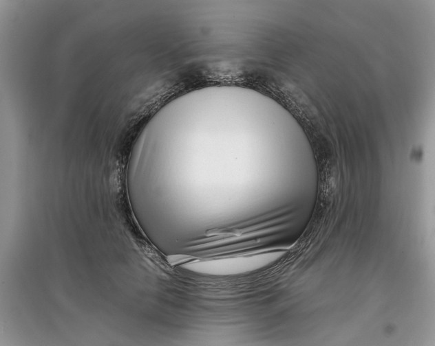 X0000097300658200803071753