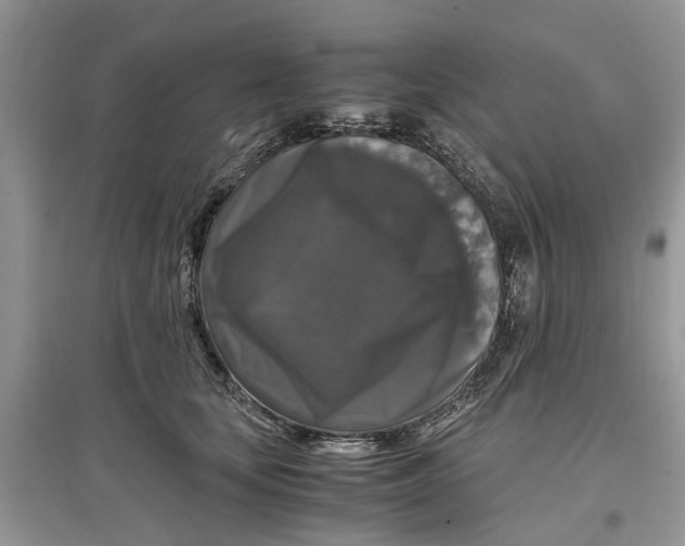 X0000097300659200803071753