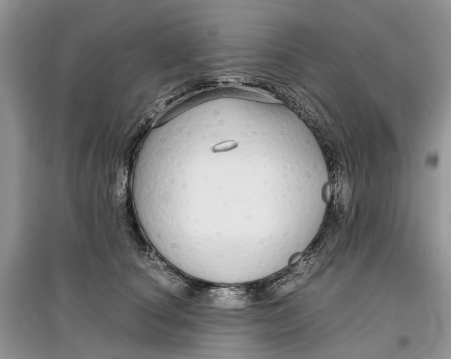 X0000097300660200803071753