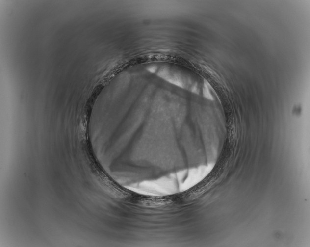 X0000097300661200803071753