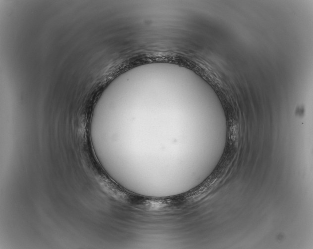 X0000097300662200803071753