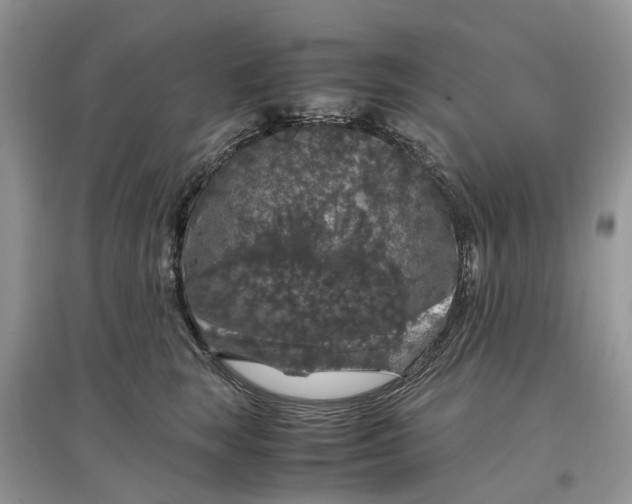 X0000097300663200803071753