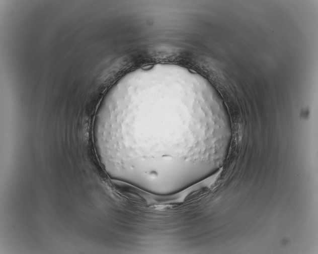 X0000097300664200803071753