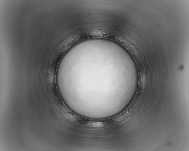 X0000097300665200803071753