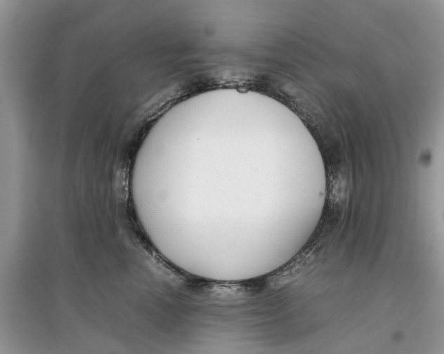 X0000097300666200803071753