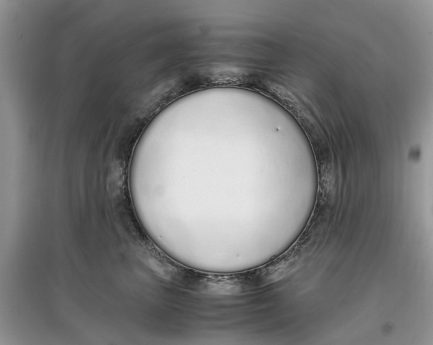 X0000097300667200803071753