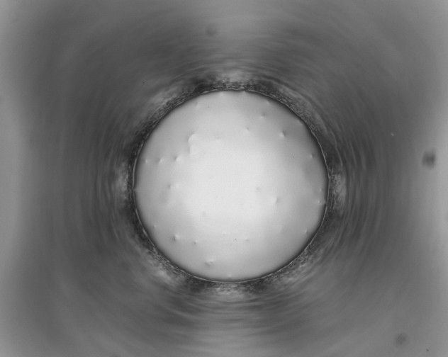 X0000097300668200803071753