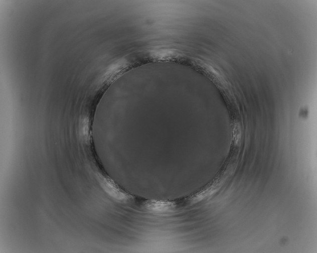 X0000097300670200803071753