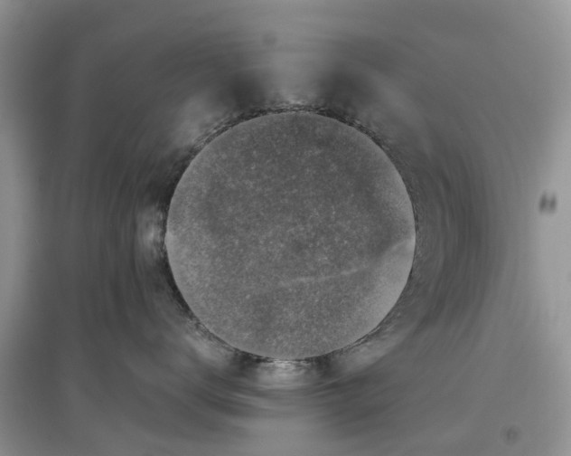 X0000097300672200803071753