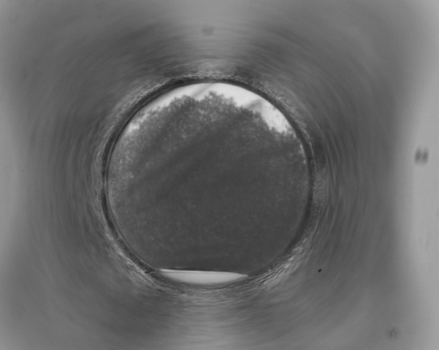 X0000097300673200803071753