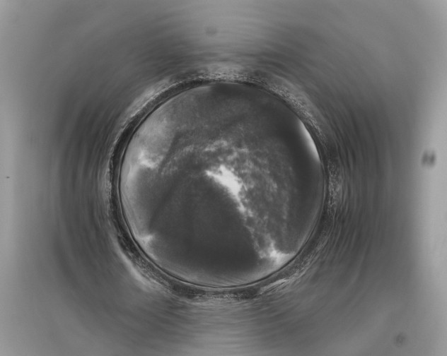 X0000097300674200803071753