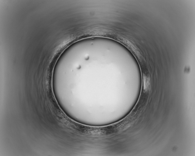 X0000097300675200803071753