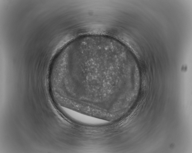 X0000097300677200803071753