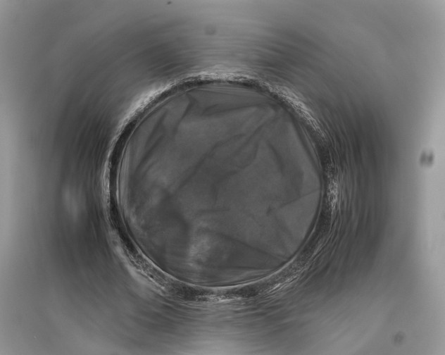 X0000097300678200803071753