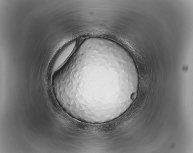 X0000097300679200803071753