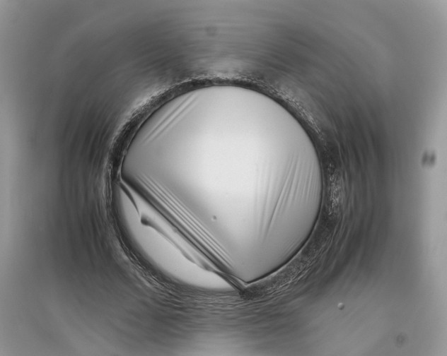 X0000097300680200803071753