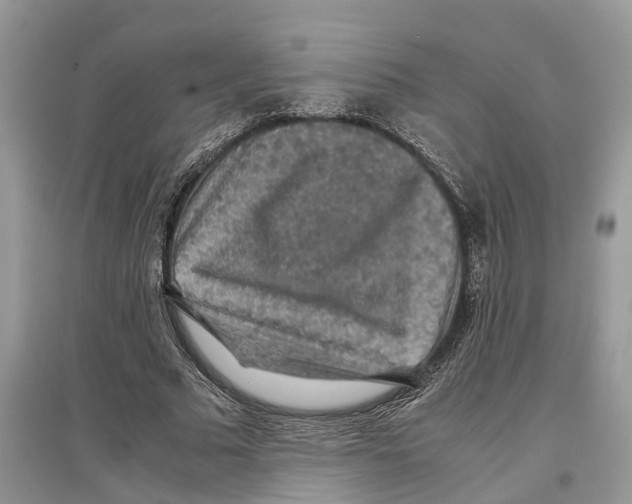 X0000097300681200803071753