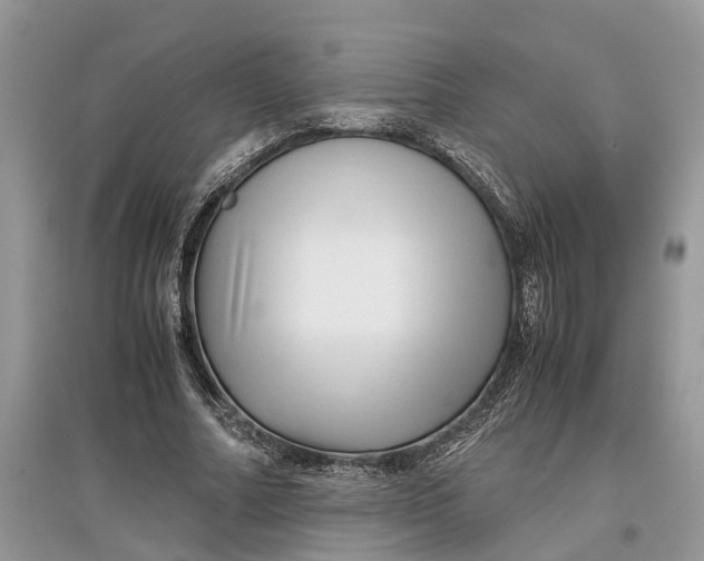 X0000097300682200803071753