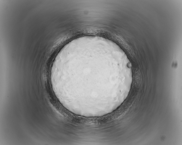 X0000097300683200803071753