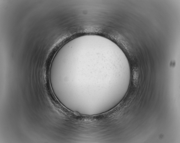 X0000097300684200803071753