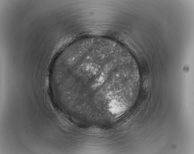 X0000097300685200803071753